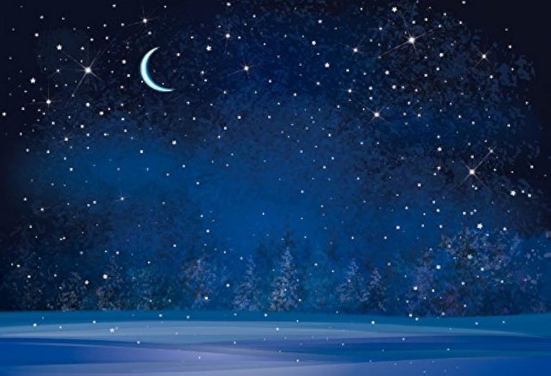 Yeele 10x6.5ft Winter Night Snowfall Snowflake Photography Backdrops Starry Sky Moon Blurry Fir Trees Pine Forest Background Merry Christmas Happy New Year Party Banner Decoration Studio Props - Image 1